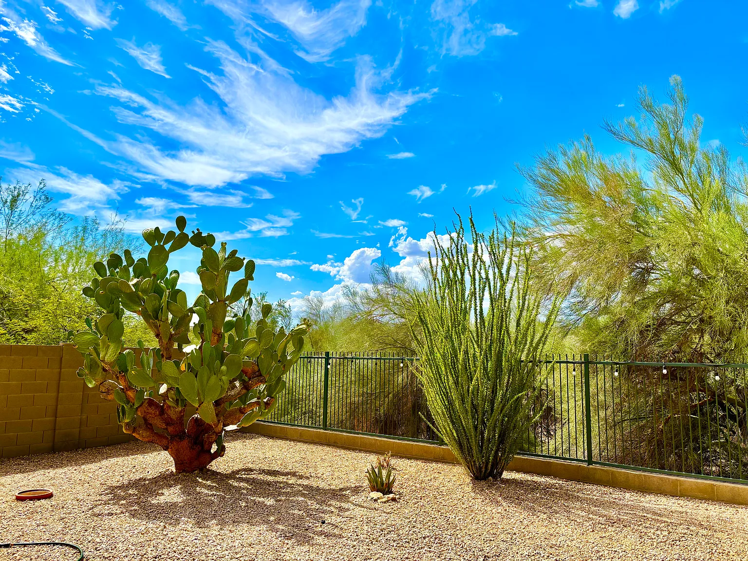 2 bed, 1672 sqft, $2,150 — Photo 3