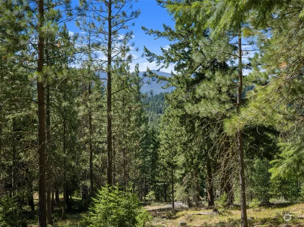 590 Snowberry Loop, Cle Elum, WA 98922