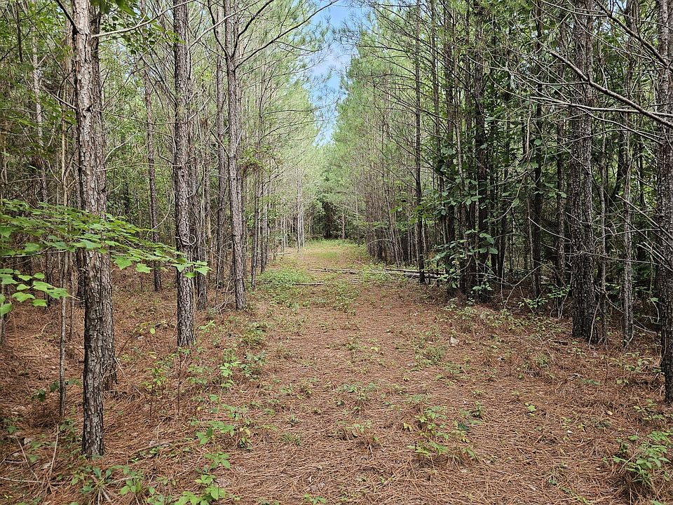 Interior road on eastern portion of the property.