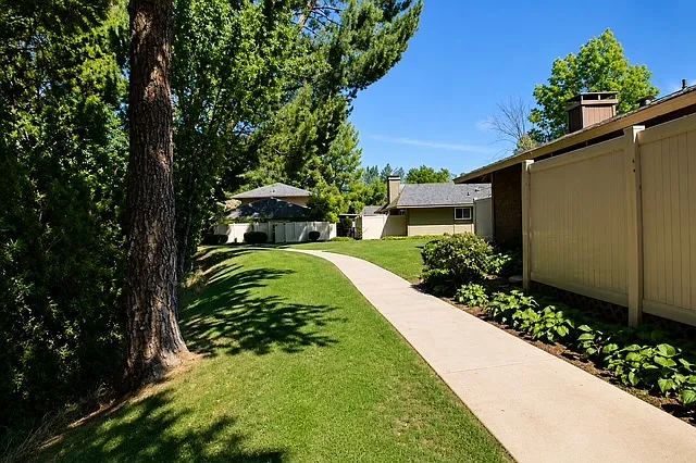 28543 Conejo View Dr — Photo 19
