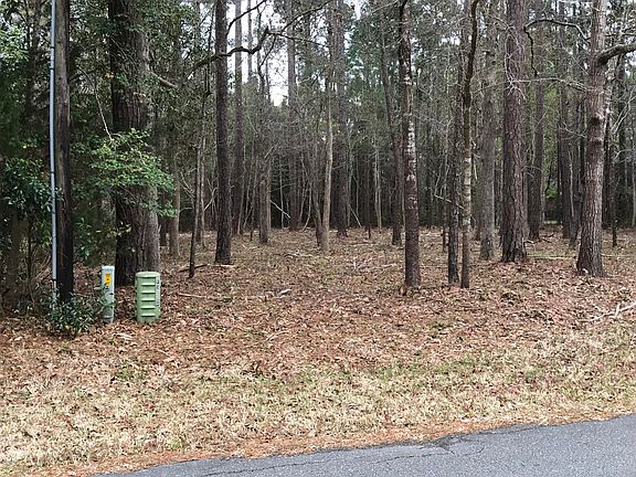 3rd image of .46ac Mintz Street