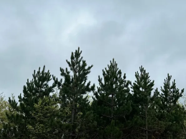 On Cth #Y-lot 2, Tomahawk, WI 54487