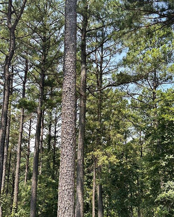 1st image of 202 Crooked Cedar Trl Lot 355