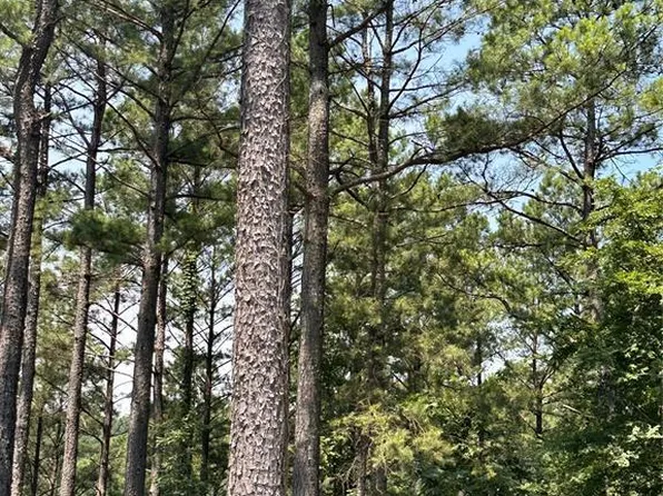 202 Crooked Cedar Trl Lot 355, Broken Bow, OK 74728