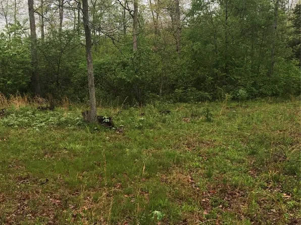 62 Walnut Hollow Rd, Annapolis, MO 63620