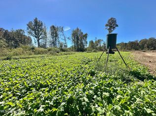 1008 Pleasant Ln, Wesson, MS 39191