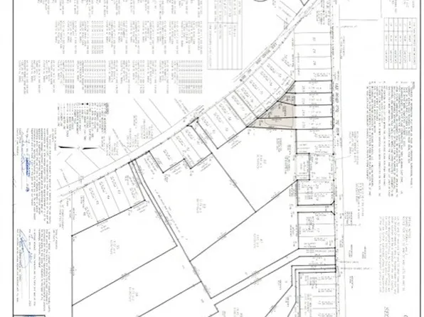 0 Lee Road 266, Cusseta, AL 36852