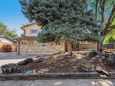 1272 S Jellison Street, Lakewood, CO, 80232