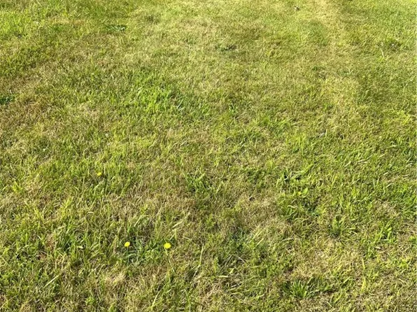 867 Grandview Drive, Sparta, NC 28675