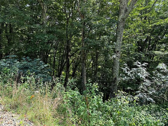 2nd image of 364 Birch Springs Ln