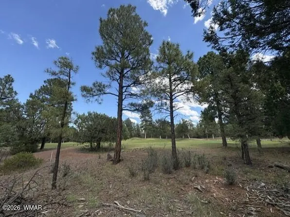 4501 W Birchleaf Ln, Show Low, AZ 85901