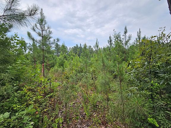 2nd image of 671 Penlan Rd #2