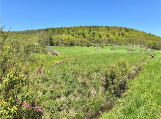 463 Cemetery Rd #5, Cobleskill, NY 12043