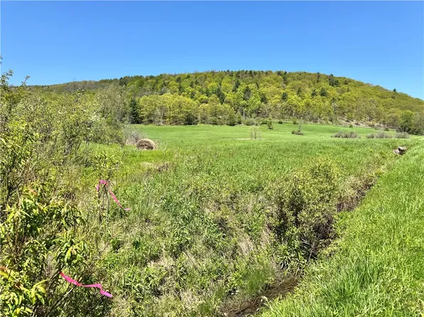 463 Cemetery Rd #5, Cobleskill, NY 12043