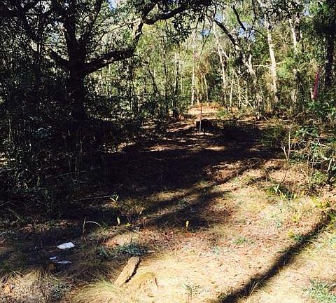 4th image of LOT 8 County Road 3280 Lot 8
