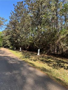 13261 Theresa Nave Rd, Folsom, LA, 70437