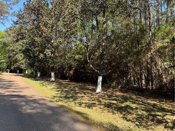 13261 Theresa Nave Rd, Folsom, LA 70437