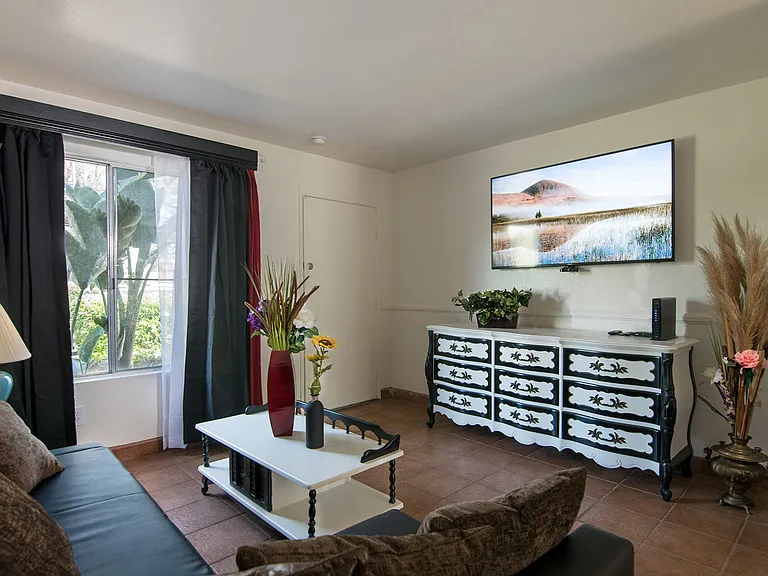 Living room with 60-inch TV