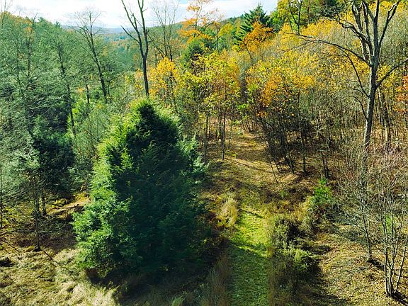4th image of 1 Ducks Gap Rd