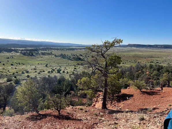 LOT 46 Green Meadow Dr, Ramah, NM 87321