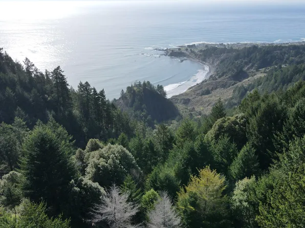 181 & 165 Ranger Ct, Whitethorn, CA 95589