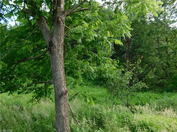 Lala Way Lot 1, Piney Creek, NC 28663