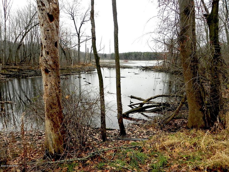 Pond View