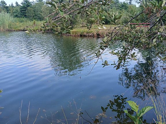 2nd image of 461 Bog Road
