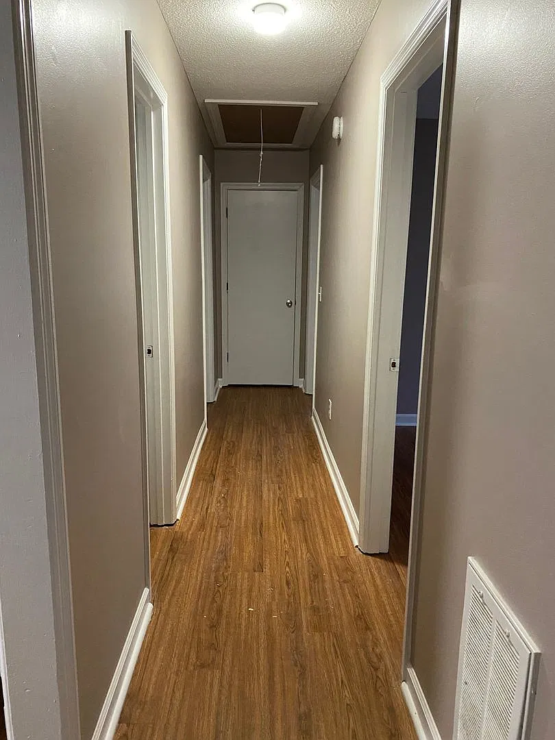 TJ — Photo 4