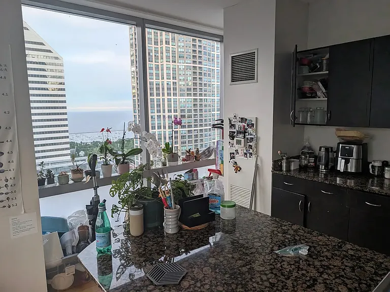 8 E Randolph St #3101 — Photo 13