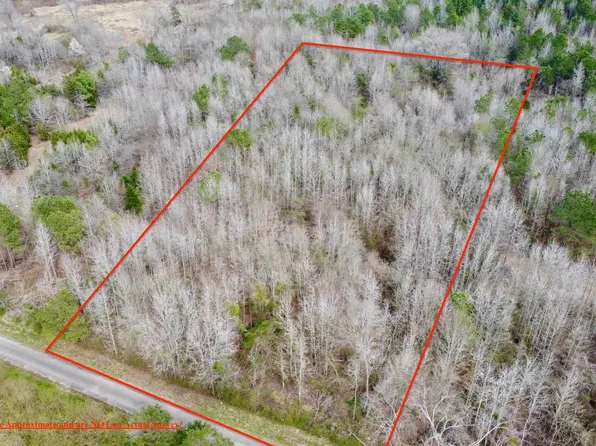 TRACT One 2 County Rd #4305, Naples, TX 75568