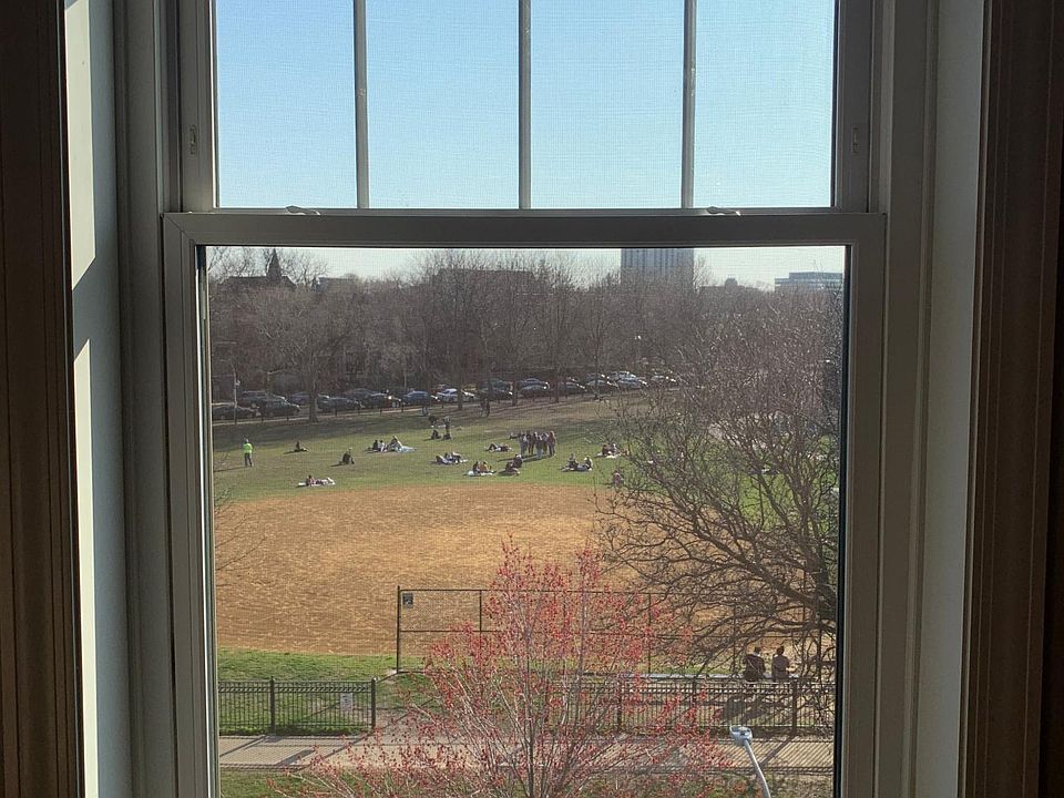 Wicker Park overlook