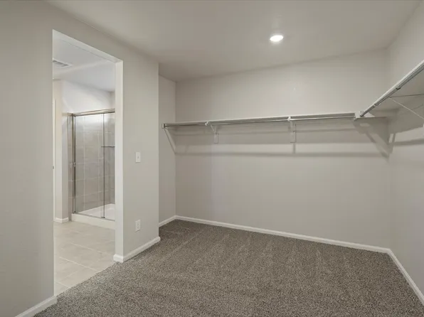 Bergamot Plan, Buffalo Highlands: The Flora Collection