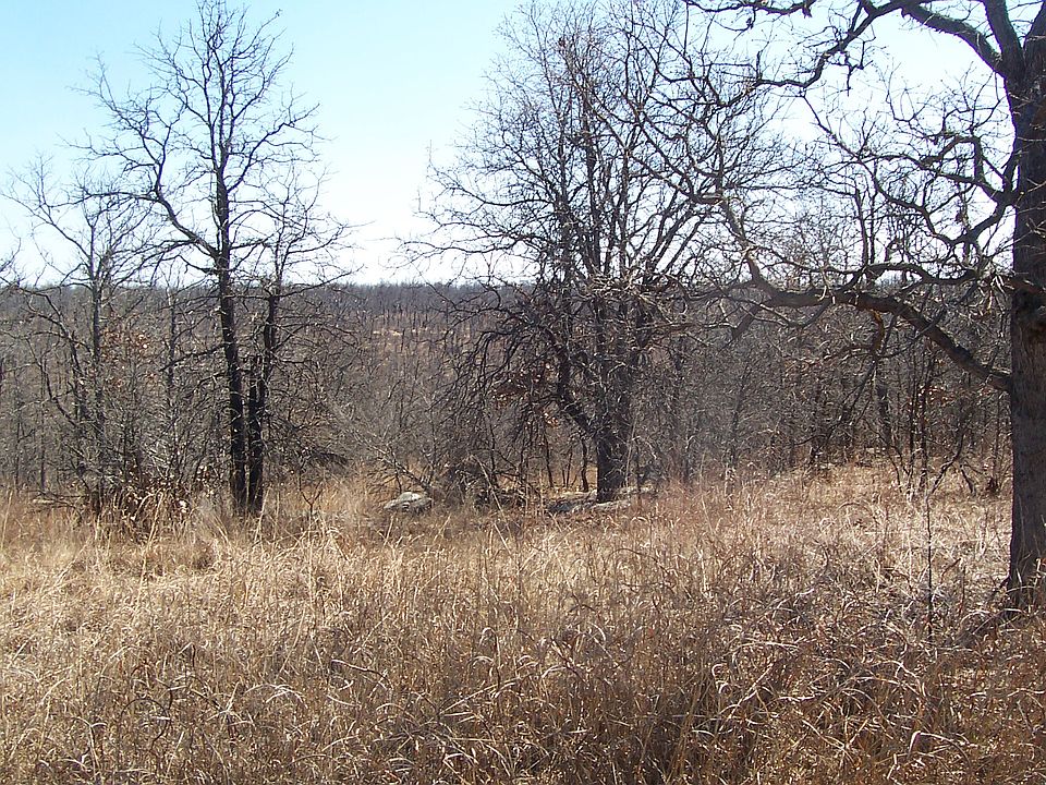 2nd image of 7710 Ayrshire Rd