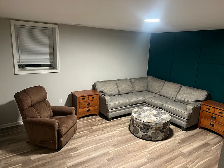Basement Living Room