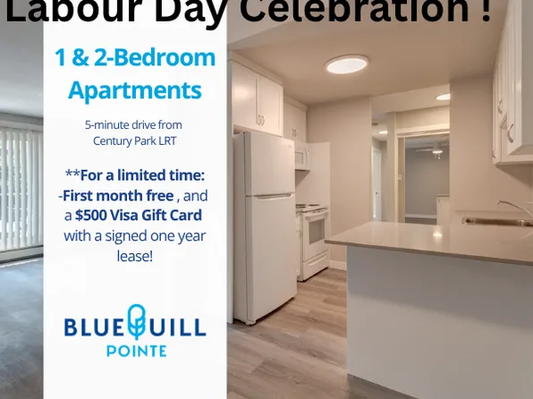Blue Quill Pointe