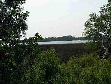 2nd image of E Bay Dr