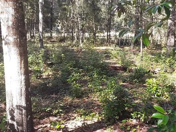 22733 NE 114th Ave #55, Fort Mc Coy, FL 32134