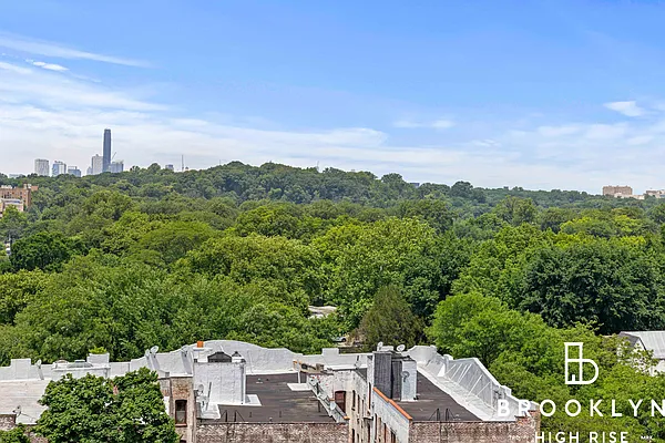 Rented by Brooklyn High Rise LLC | media 58