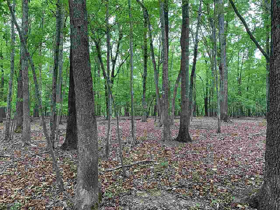 1st image of LOT B Seminole Dr Lot B