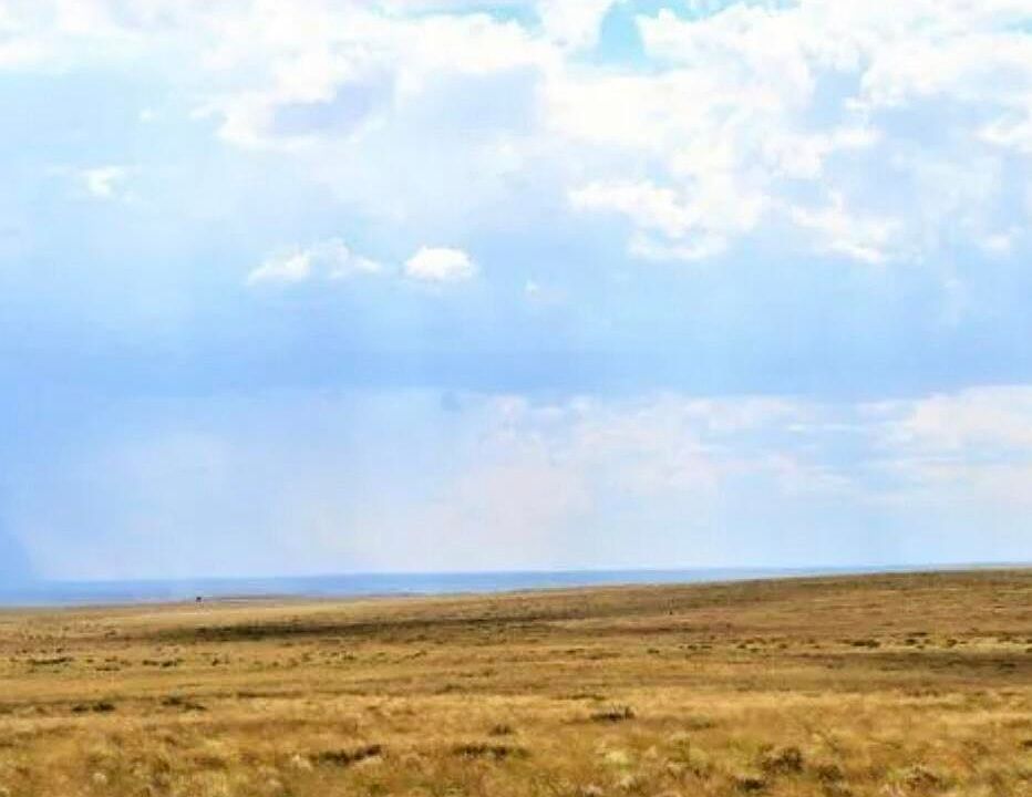 2nd image of 207-53 Six Bell Brand Rnch