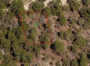 2903 Winston St, Inverness, FL 34452