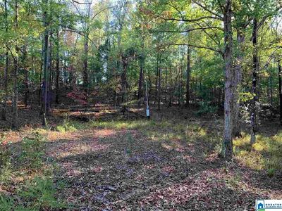 1819 Highway 35, Pelham, AL, 35124