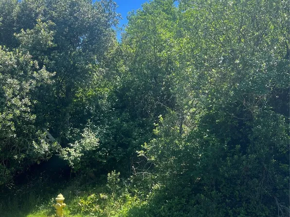 849 Hake Court SW, Ocean Shores, WA 98569