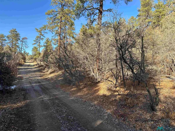Private Drive 1781, Chama, NM 87520