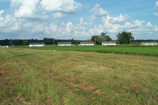 2nd image of 432 Thad Little Rd