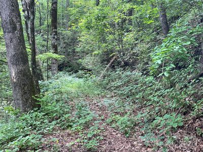 0 Eastatoe Gap Rd UNIT 52, Rosman, NC, 28772