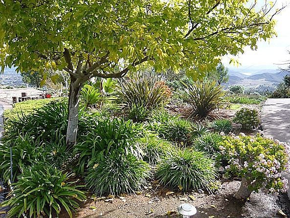 View of Lot