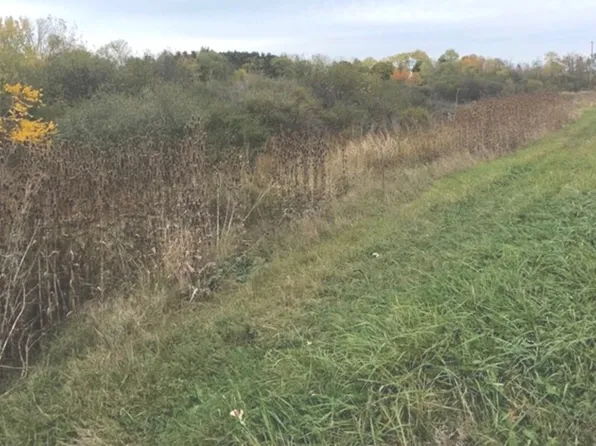 17320 W State Route 173, Wadsworth, IL 60083