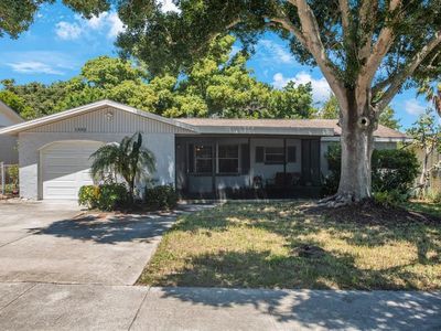 1502 Coppertree Dr, Tarpon Springs, FL, 34689